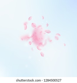 Sakura petals falling down. Romantic pink flowers explosion. Flying petals on blue sky square background. Love, romance concept. Delicate wedding invitation.