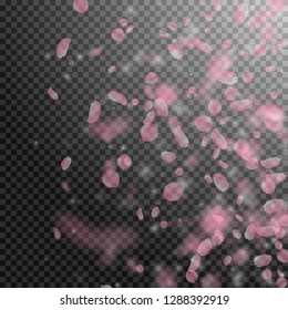 Sakura petals falling down. Romantic pink flowers gradient. Flying petals on transparent square background. Love, romance concept. Adorable wedding invitation.