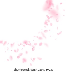 Sakura petals falling down. Romantic pink flowers corner. Flying petals on white square background. Love, romance concept. Symmetrical wedding invitation.