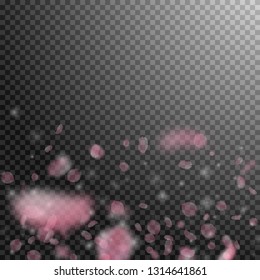 Sakura petals falling down. Romantic pink flowers gradient. Flying petals on transparent square background. Love, romance concept. Artistic wedding invitation.