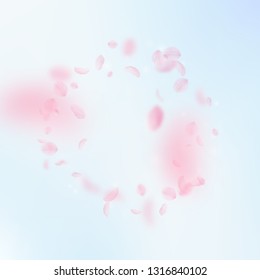 Sakura petals falling down. Romantic pink flowers frame. Flying petals on blue sky square background. Love, romance concept. Marvelous wedding invitation.