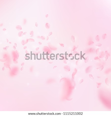 Sakura petals falling down. Romantic pink flowers falling rain. Flying petals on pink square background. Love, romance concept. Impressive wedding invitation.