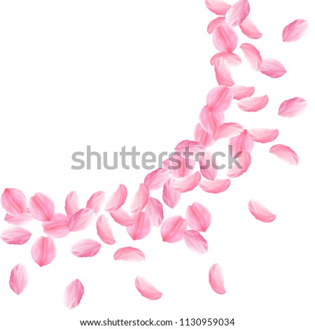 Sakura petals falling down. Romantic pink bright big flowers. Thick flying cherry petals. Large radiant corner fabulous vector background. Love, affection, romance concept.