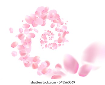 Sakura petals are falling in a spiral. Vector illustration.