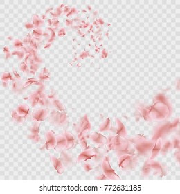 Sakura petals are falling in vortex transparent effect. And also includes EPS 10 vector