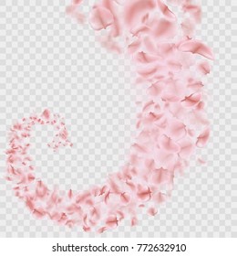 Sakura petals are falling in vortex transparent effect. And also includes EPS 10 vector