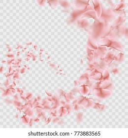 Sakura petals are falling in vortex transparent effect. And also includes EPS 10 vector