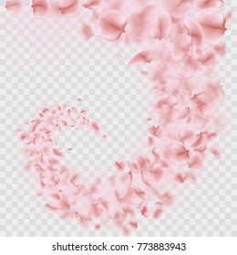 Sakura petals are falling in vortex transparent effect. And also includes EPS 10 vector