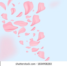 Sakura petals. Sakura flower, spring blossom and April floral nature on pink background. Banner for 8 march, Happy Easter with place for text. Springtime concept. Top view. Flat lay.