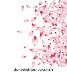Sakura petals flying isolated on white vector spa background. Spring falling flower parts confetti, blossom elements holiday design. Trendy flower blossom petals background illustration.