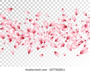 Sakura petals flying vector cosmetics background. Spring falling flower parts confetti, blossom elements wedding design. Rose color flower blossom petals card vector background.