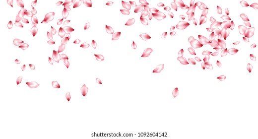 Sakura petals flying vector cosmetics background. Spring falling flower parts confetti, blossom elements wedding design. Elegant flower blossom petals background vector.