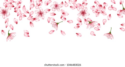 Sakura petals flying vector fashionable background. Spring falling flower parts confetti, blossom elements april design. Idyllic flower blossom petals isolated on white background vector.