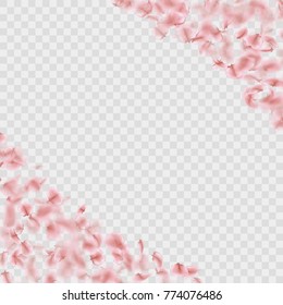 Sakura petals frame isolated on transparent background. And also includes EPS 10 vector