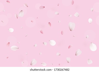 Sakura petals. Pink cherry blossom.