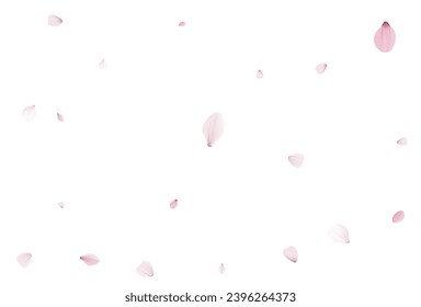 Sakura-Blütenblätter. Realistische Vektorgrafik