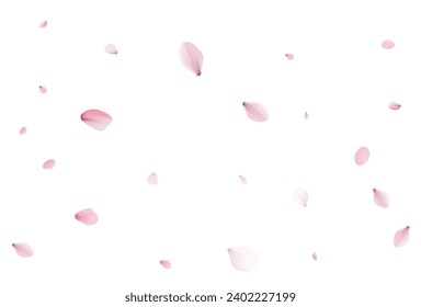 Pétalos de Sakura. Ilustración vectorial realista