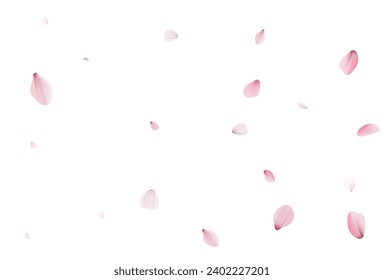 Sakura-Blütenblätter. Realistische Vektorgrafik