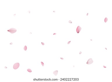 Sakura petals. Realistic vector illustration