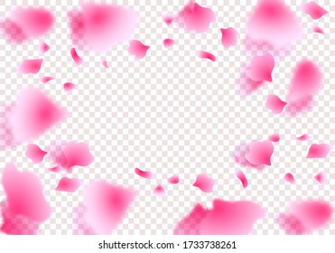 Sakura petals, roses in a circle in perspective with shadow. On a transparent background. Vector illustration