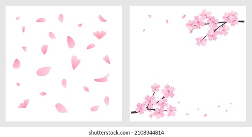 Sakura petals and Sakura tree branches icons set isolated on white background vector illustration.