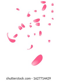 sakura petals for valentine day
