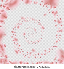 Sakura petals vortex isolated on transparent background. And also includes EPS 10 vector