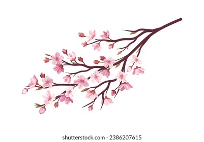 Sakura pink branch concept. Part of tree and plant. Japanese and asian garden. Flora and nature. Sticker for social networks. Cartoon flat vector illustration isolated on white background