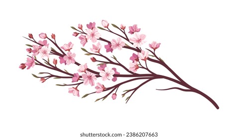 El concepto de rama rosa de Sakura. Parte de árbol y planta. Jardín japonés y asiático. Flora y naturaleza, ecosistema. Plantilla y diseño. Dibujo vectorial plano de dibujos animados aislado en fondo blanco