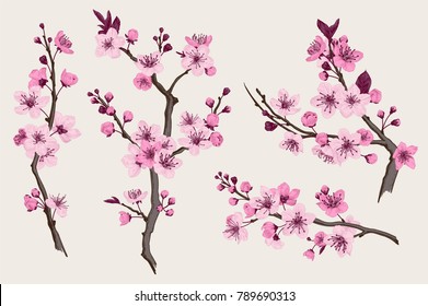 Sakura Pink Cherry Blossom Branch Vector Stock Vector (Royalty Free ...