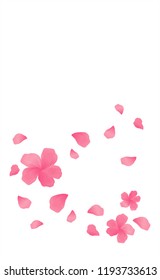 Sakura Pink flowers and flying petals isolated on White vertical background. Apple-tree flowers. Cherry blossom. Vector EPS 10 cmyk