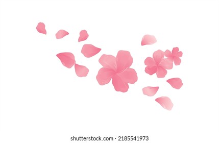Sakura Pink flowers and flying petals isolated on White background. Apple-tree flowers. Cherry blossom. Vector