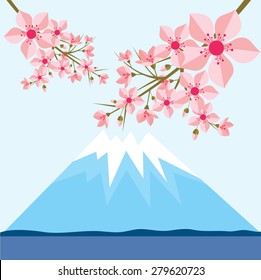Sakura Pink flowers Vector
