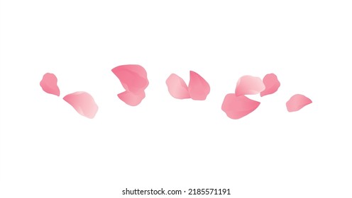 Sakura Pink flying petals isolated on White background. Watercolor petals. Cherry blossom. Vector