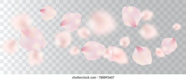 Sakura pink petals randomly flying in the air, isolated on transparent background, wide vector illustration. Spring floral romantic concept, graphic design elements for wedding cards, banners, flyers.