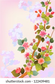 sakura . postcard . menu.