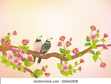sakura red , bird .