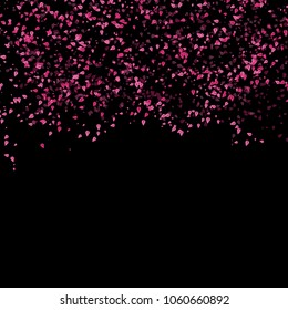 Sakura scatter pink leaves falling concept on black abstract background textured nature