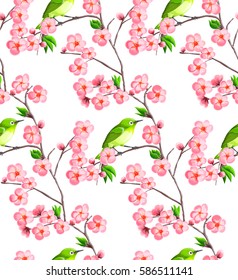 Sakura seamless pattern with japanese bird White-eye on the white background.