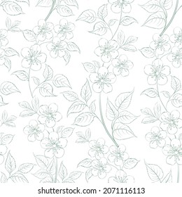 Sakura seamless pattern on white background.
