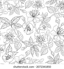 Sakura seamless pattern on white background.