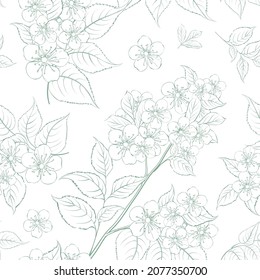 Sakura seamless pattern on white background.