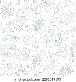 Sakura seamless pattern on white background.