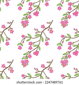 Sakura seamless pattern. Pen or marker flowers sketch. Floral vector illustrations. Hand drawn natural pencil drawing