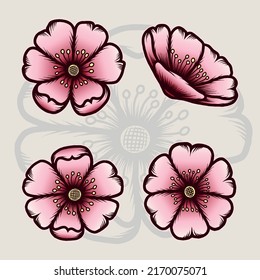 Sakura Set Illustration. Premium-Vektorgrafik