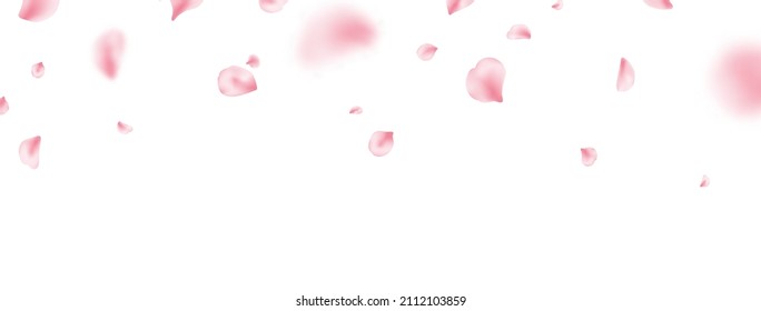 Sakura spring blossom border. Flower petal flying background. Pink rose composition. Beauty Spa product frame. Valentine romantic card. Light delicate pastel design. Vector illustration.