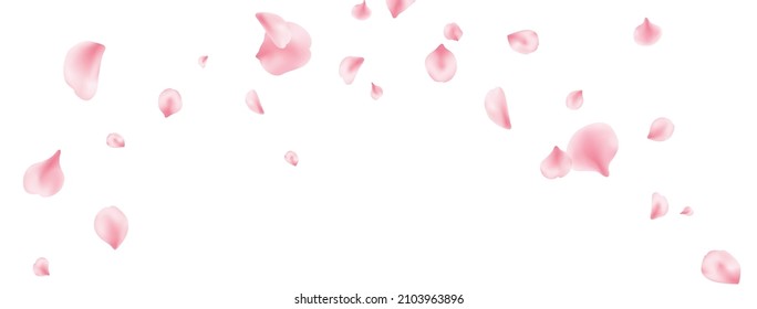 Sakura spring blossom on long banner. Flower petal flying background. Beauty Spa product frame. Valentine romantic card. Pink rose composition. Light delicate pastel design. Vector illustration.