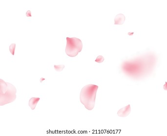 La primavera de Sakura floreció en una pancarta blanca. Fondo volador pétalo de flores. Composición rosa rosada. Marco del producto del Spa de belleza. Carta romántica de San Valentín. Diseño pastel y delicado. Ilustración vectorial.