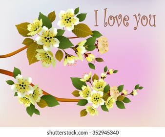 Sakura, spring, Valentine's Day.