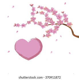 Sakura, spring, Valentine's Day.